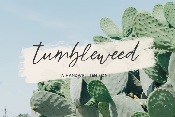 Tumbleweed Script Font Poster 1