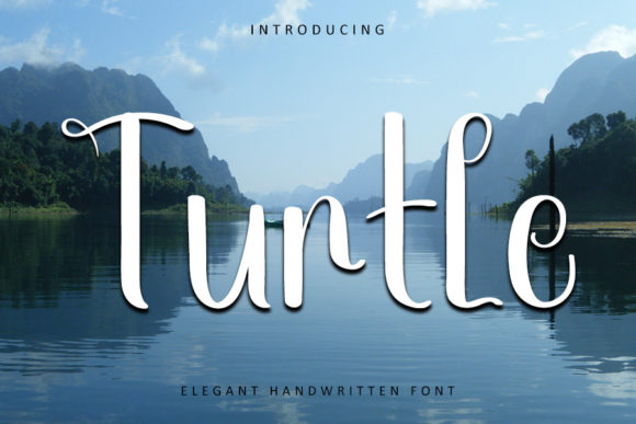 Turtle Font Poster 1