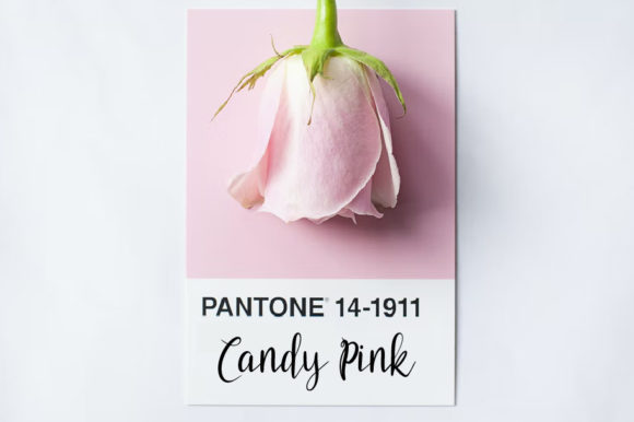 Uhotsy Script Font Poster 2