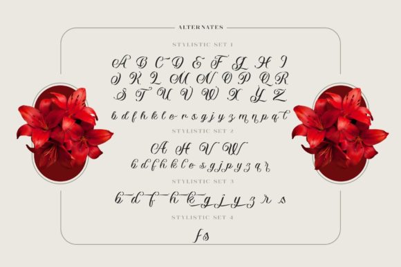Vaclice Script Font Poster 6