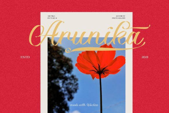 Vaclice Script Font Poster 10