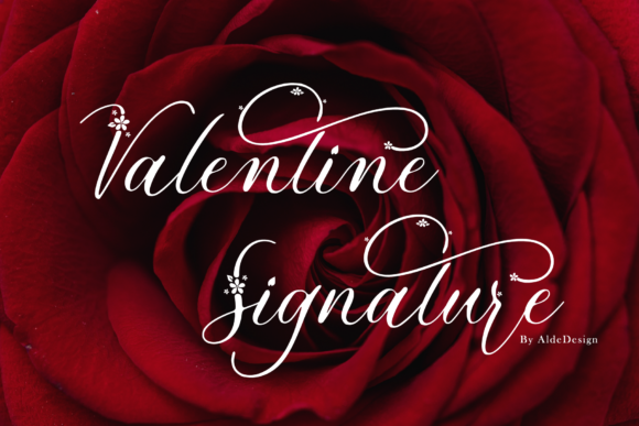 Valentine Signature Font Poster 1