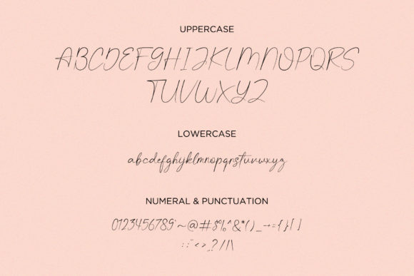 Vallenitta Font Poster 8