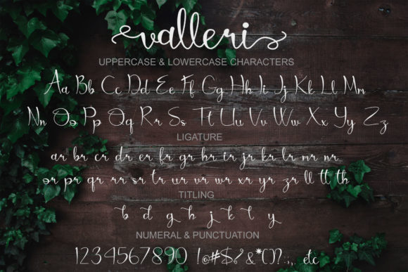 Valleri Font Poster 7