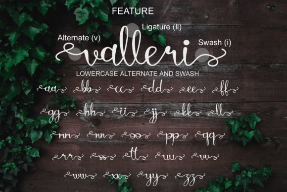 Valleri Font Poster 8