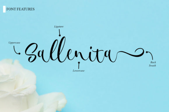 Vallerina Font Poster 9