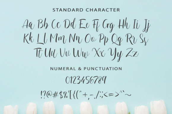 Vallerina Font Poster 10
