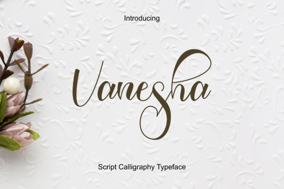 Vanesha Font