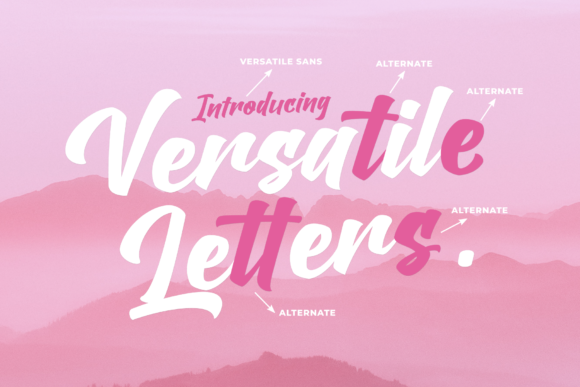Versatile Letters Duo Script Font Poster 5