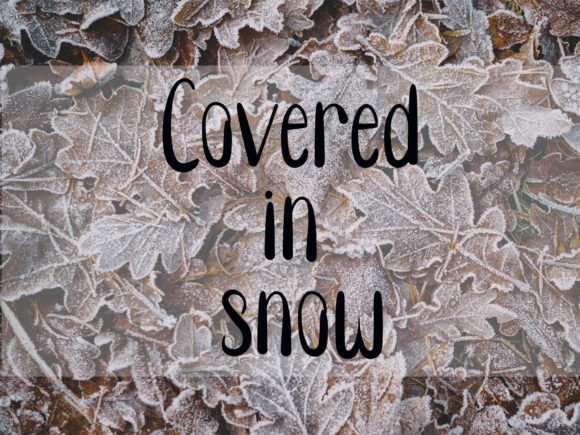 Very Gorgeous Font Poster 3