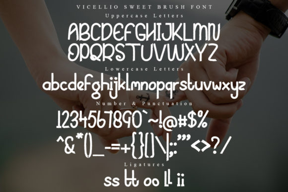 Vicello Font Poster 6