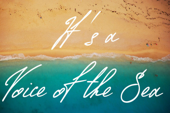 Vicky&Nelly Font Poster 10