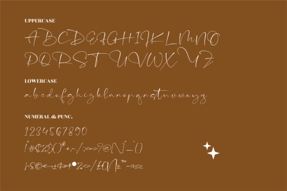 Victoria Signate Font Poster 13
