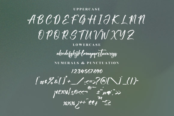 Victory Willkins Font Poster 13