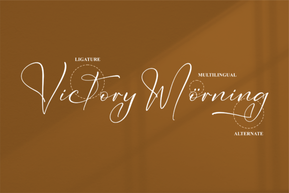Victoryan Antecia Font Poster 12