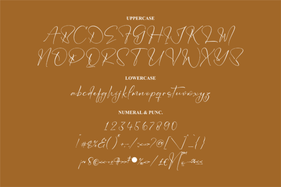 Victoryan Antecia Font Poster 13