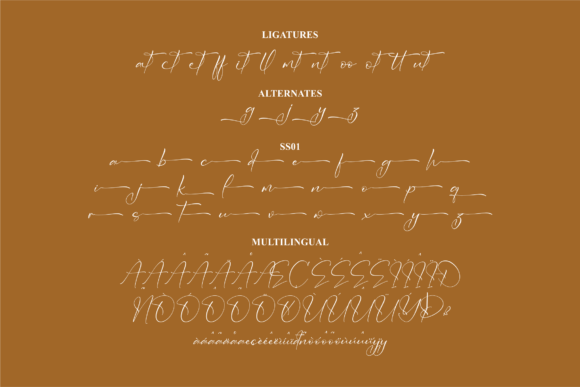 Victoryan Antecia Font Poster 14