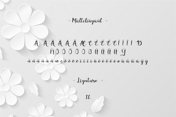 Vilmosa Font Poster 11