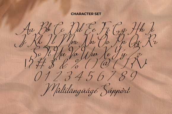 Violableness Font Poster 3