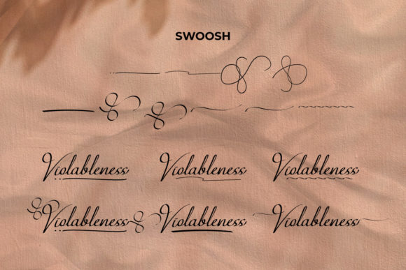 Violableness Font Poster 7
