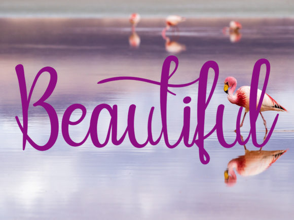 Welcome Angel Font Poster 2