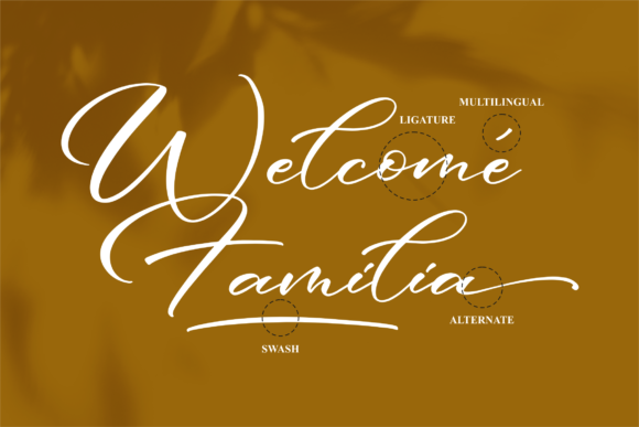 Welcome Patricia Font Poster 12