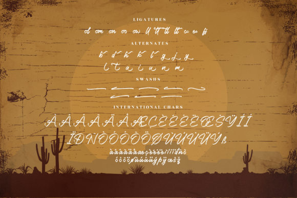 Western Cowboys Font Poster 14