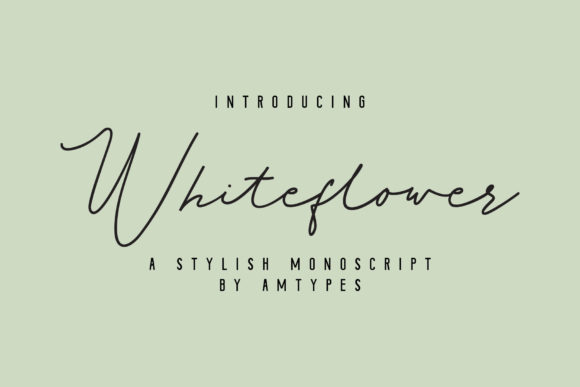 Whiteflower Font Poster 1