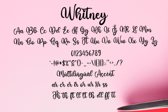 Whitney Font Poster 8