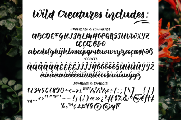 Wild Creatures Font Poster 2