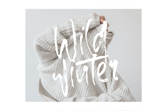 Wild Monkey Font Poster 5