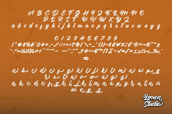 Wild Moon Font Poster 8