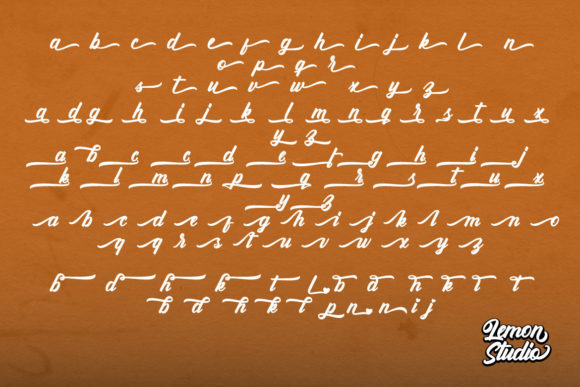 Wild Moon Font Poster 9
