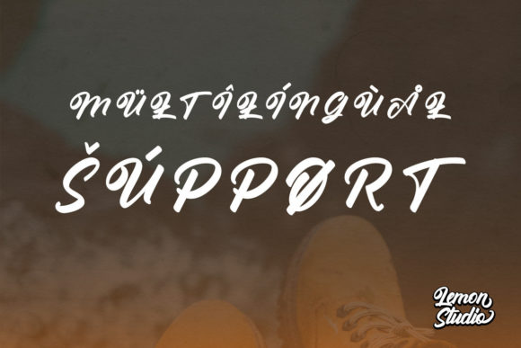 Wild Moon Font Poster 10