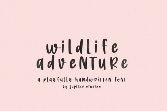 Wildlife Adventure Font Poster 1