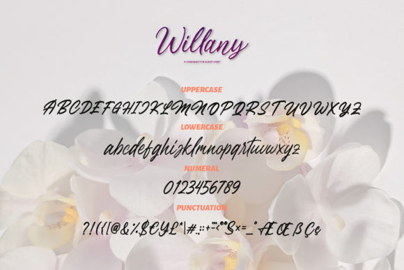 Willany Font Poster 6