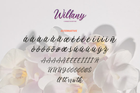 Willany Font Poster 7