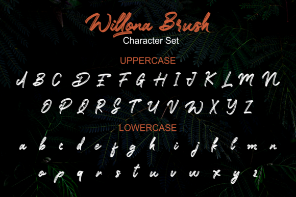 Willona Brush Font Poster 2