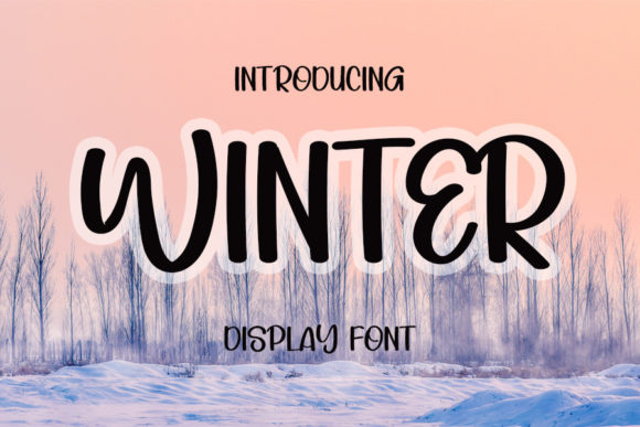 Winter Font Poster 1
