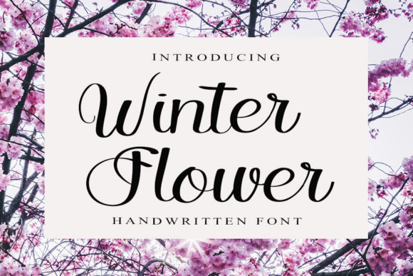 Winter Flower Font Poster 1