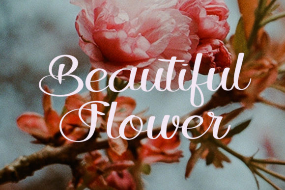 Winter Flower Font Poster 2