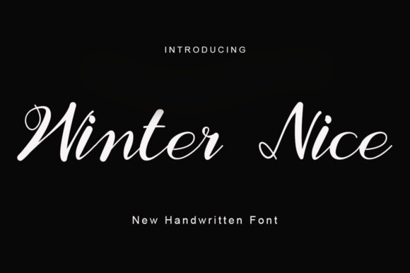 Winter Nice Font Poster 1