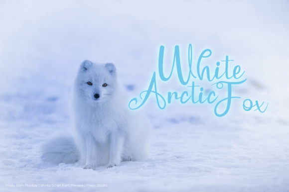 Winter Script Font Poster 3