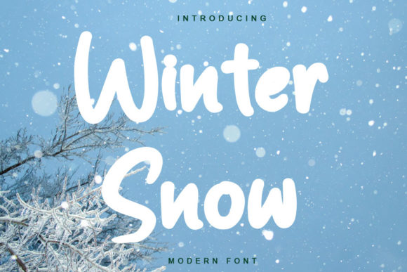 Winter Snow Font Poster 1