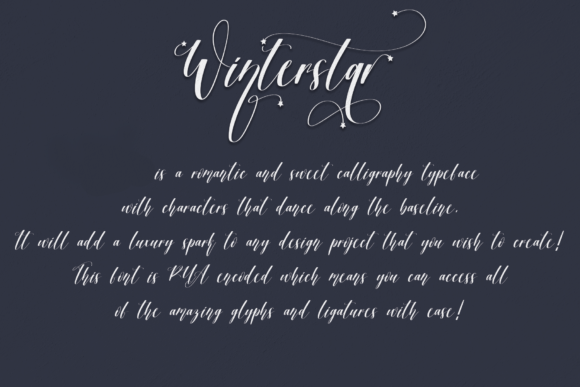 Winter Star Font Poster 2