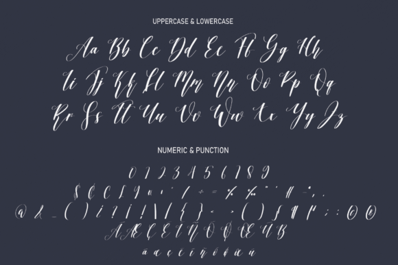Winter Star Font Poster 6