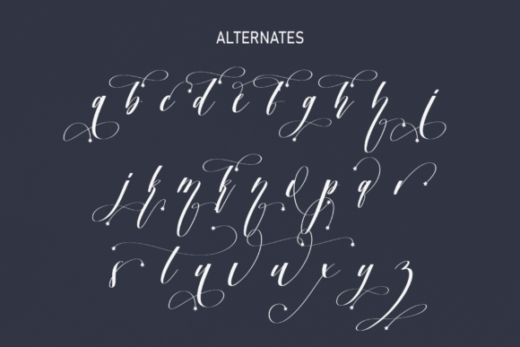 Winter Star Font Poster 7