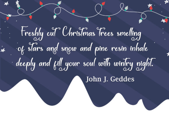 Winter White Font Poster 2