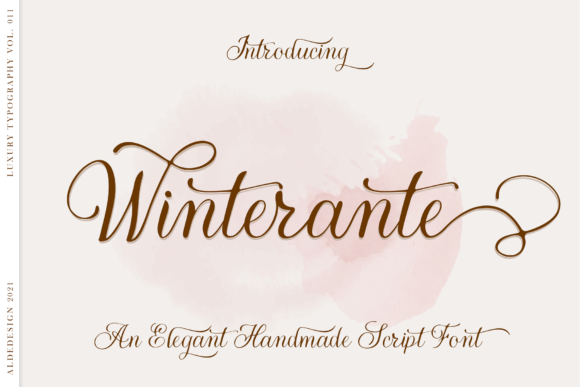 Winterante Font Poster 1