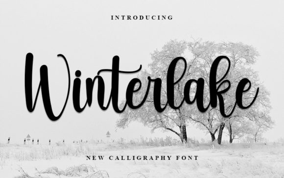 Winterlake Font Poster 1